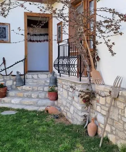 Sezgin * 库萨达斯