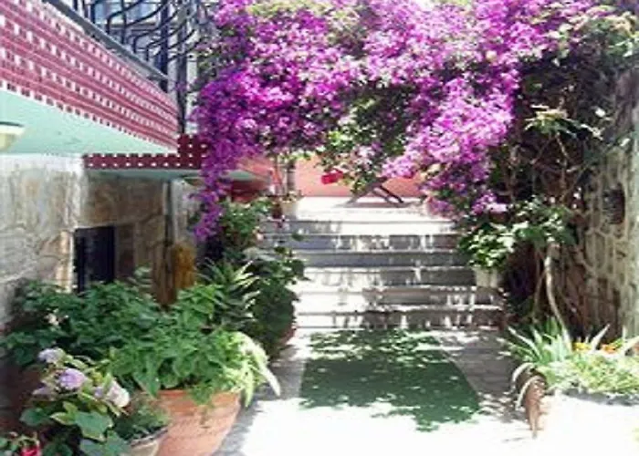 Sezgin 库萨达斯