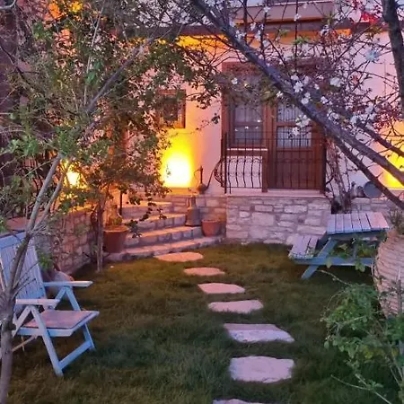 Sezgin * كوشاداسيه